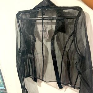 Forever 21 sheer organza crop top